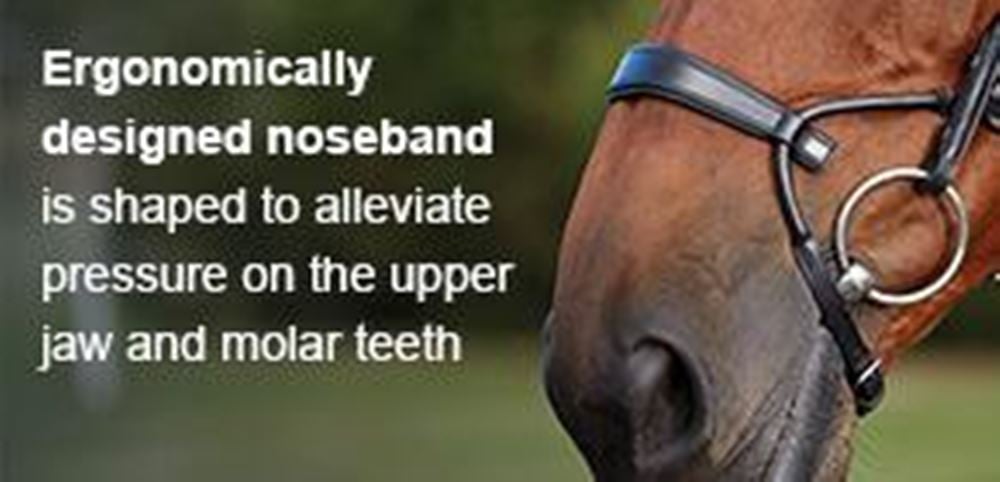 Collegiate Comfitec Patent Bridle