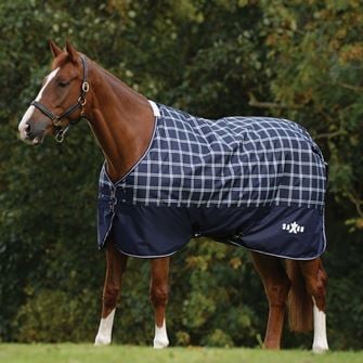 Saxon Defiant 600D Standard Neck Medium Turnout Rug 200g (Navy Plaid)