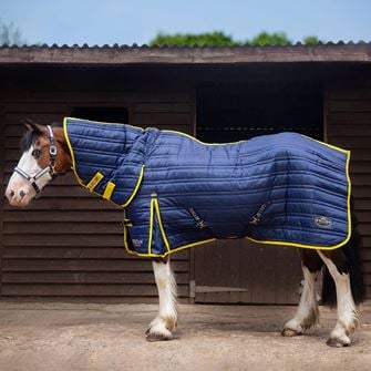 Gallop Trojan 200g Combo Stable Rug (Navy/Yellow Bindings)