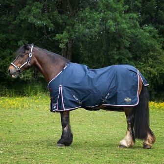 Gallop 600D Trojan DURAPROOF 50 Turnout Rug (Navy/Burgundy)