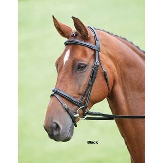 Shires Salisbury Bodenham Flash Bridle (Black)