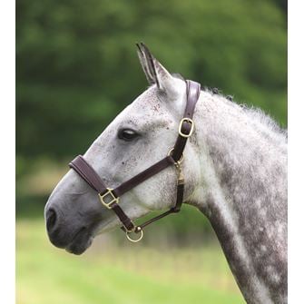 Shires Velociti GARA Leather Travel Headcollar