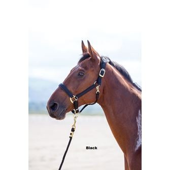 Shires Topaz Nylon Headcollar (XXS - Small Pony)