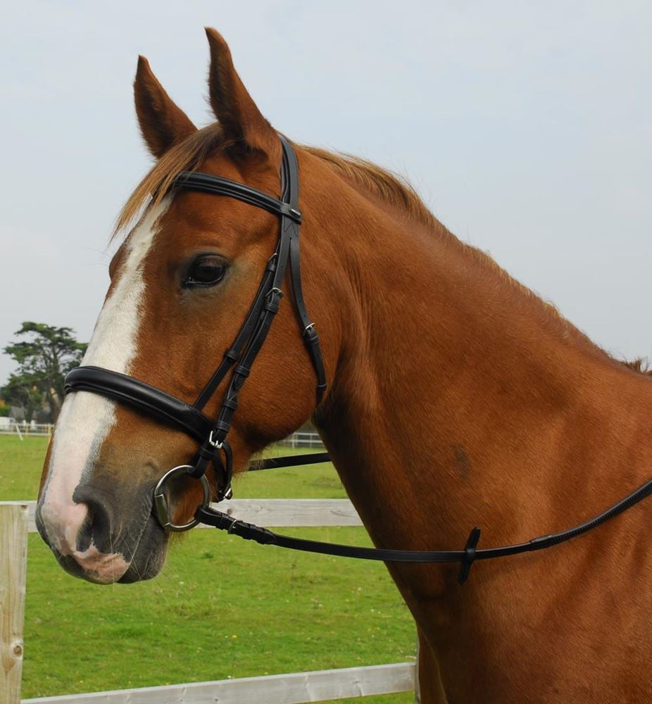 Heritage Saddlery English Leather Comfort Bridle with Cavesson Noseband