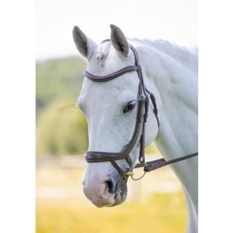 Shires Velociti RAPIDA Ergonomic Curved Flash Bridle