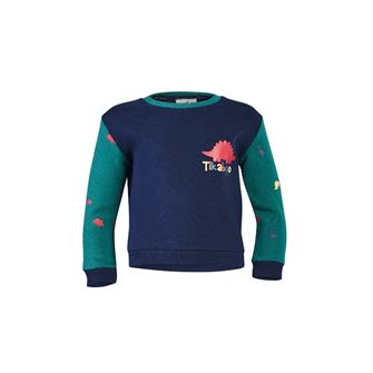 Shires Tikaboo Sweatshirt (Dinosaur)
