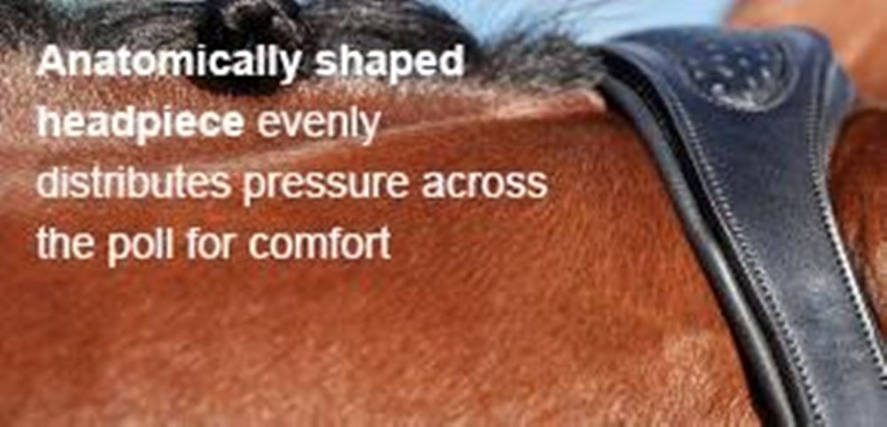 Collegiate Comfitec Patent Bridle